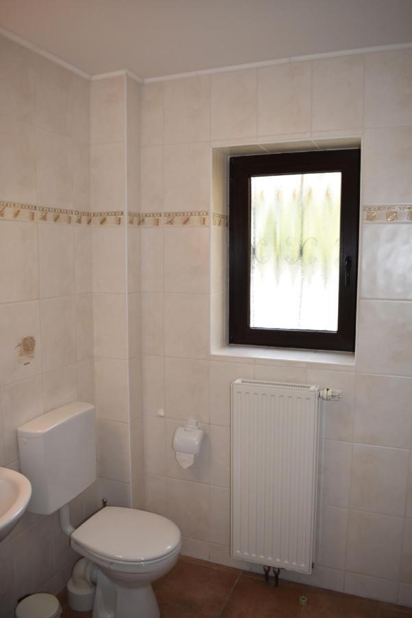 Pension Zur Schleuse Garni Am Elbe Luebeck - Kanal In Witzeeze 外观 照片